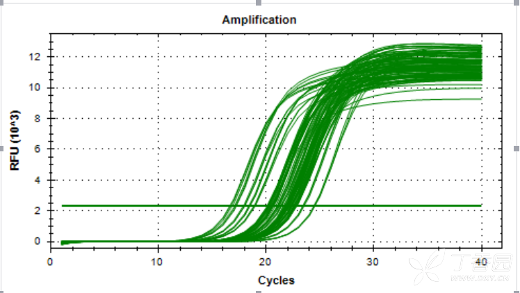 下面是最后一次的pcr曲线图.