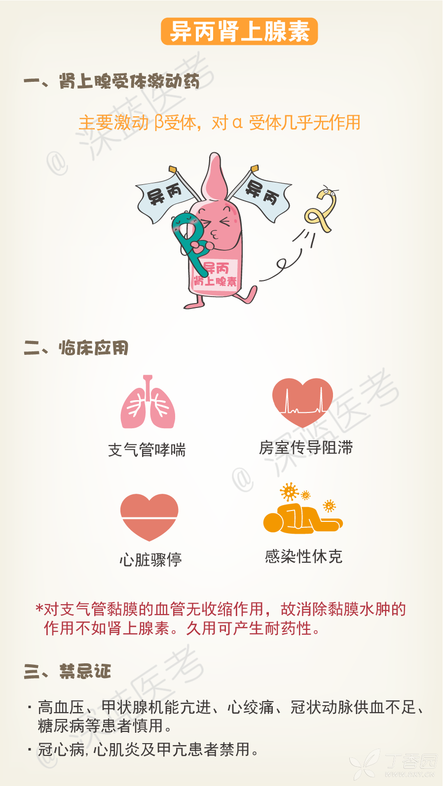 异丙肾上腺素的拮抗剂_异丙肾上腺素的作用_肾上腺素与异丙肾上腺素的区别