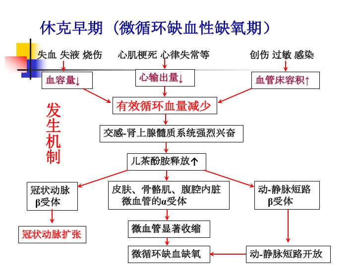 休克  的分类分期,体液变化,临床表现,诊断标准,治疗原则都是啥?