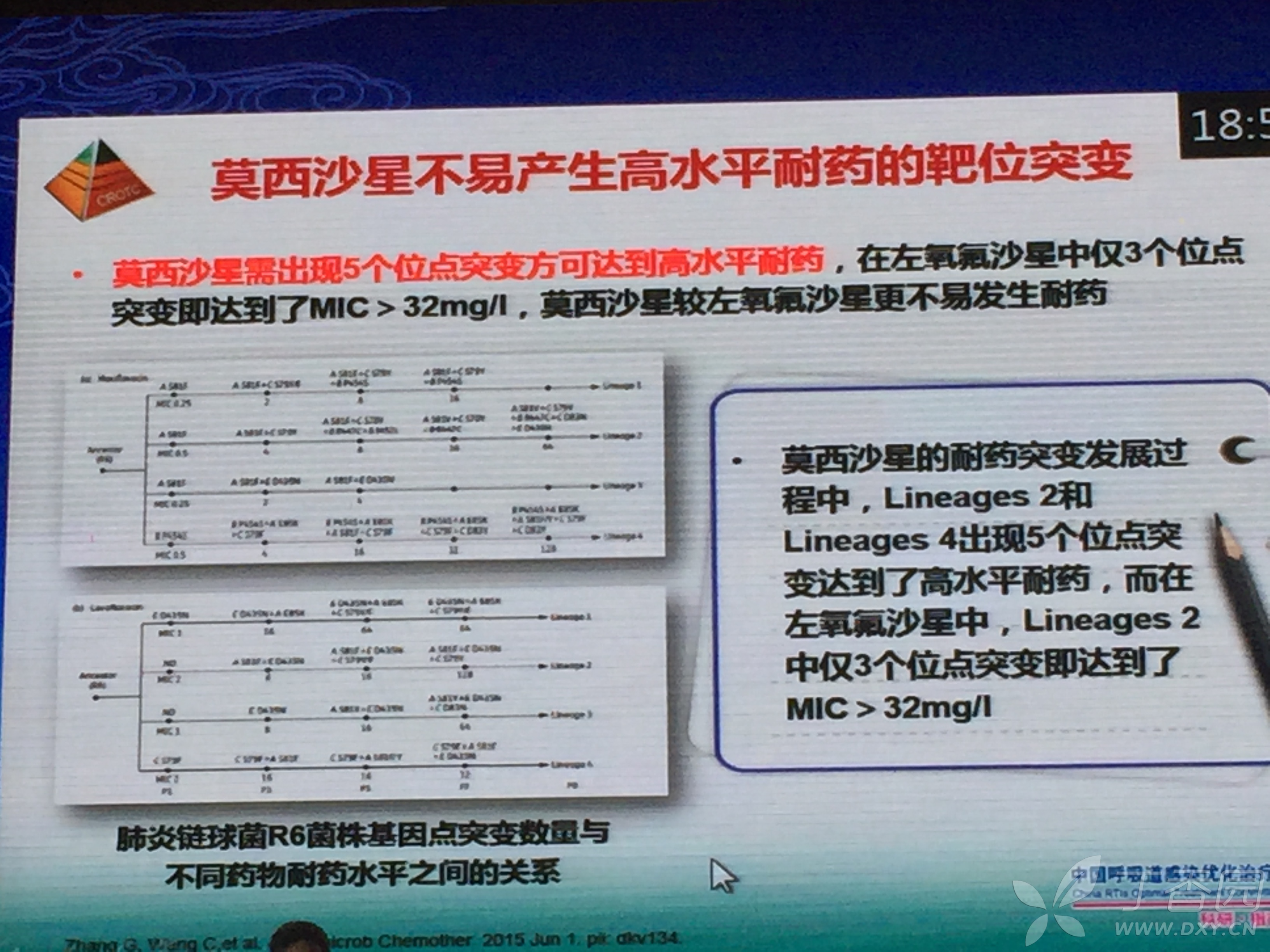 左氧沙星,莫西沙星,奈诺沙星—3 个喹诺酮类药抗菌活性差异