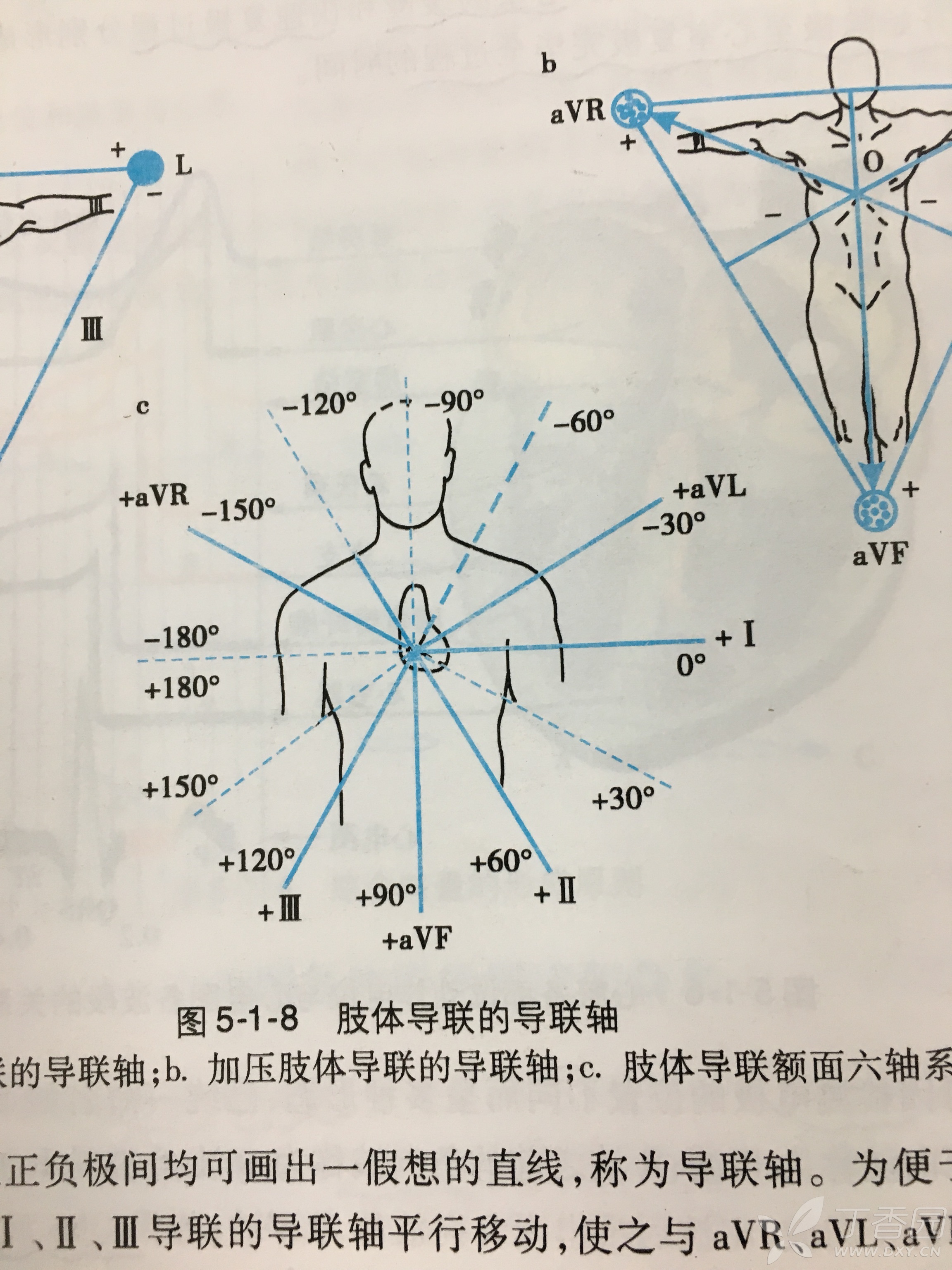 书上的肢体导联的向量图的方向是这样的啊