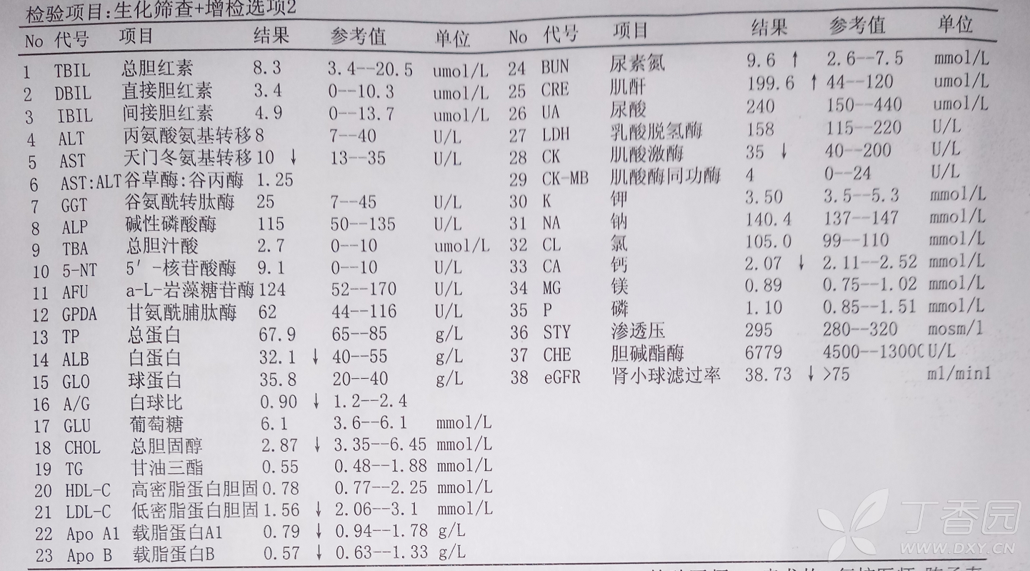 52岁女患者,住院10天,肌酐从200升至300,可能是什么原因