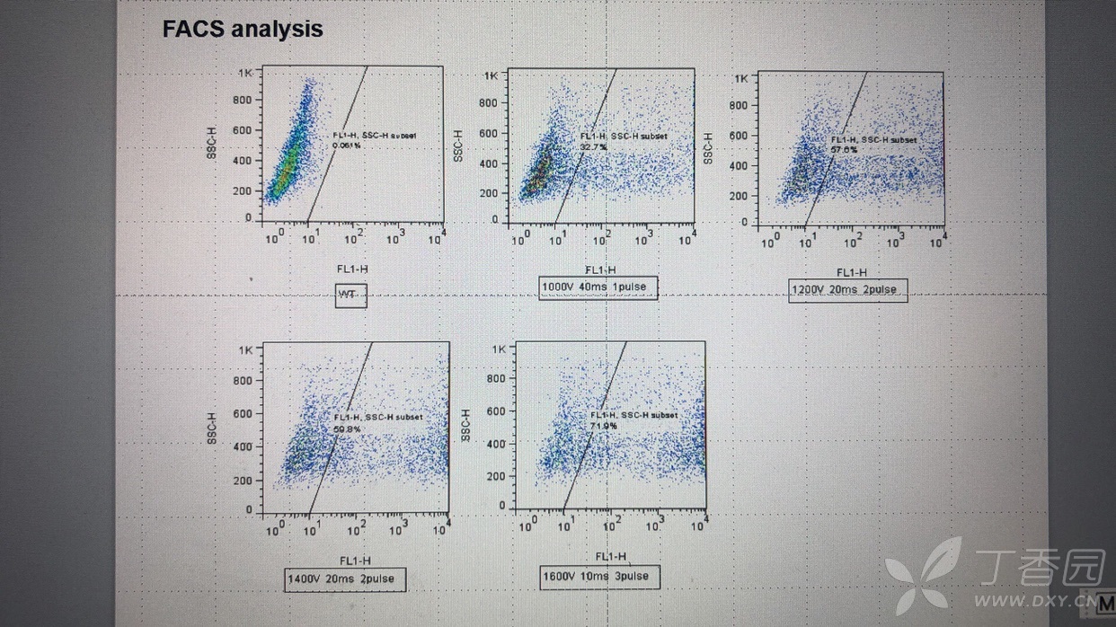 流式细胞仪散点图