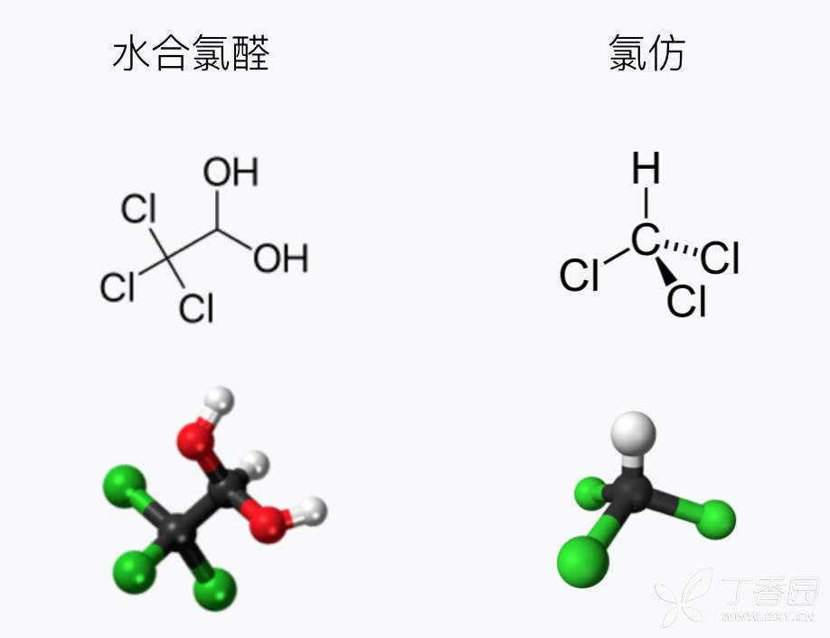 fig-2 水合氯醛和氯仿的化学结构图