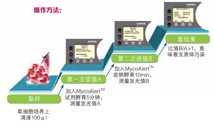 Lonza支原体检测 北京泽平 lonza中国一级代理商