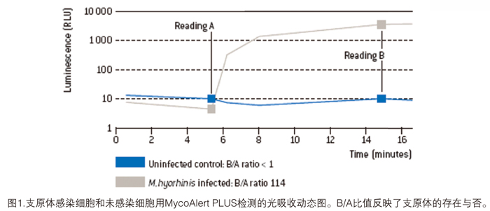 Lonza支原体检测 北京泽平 lonza中国一级代理商