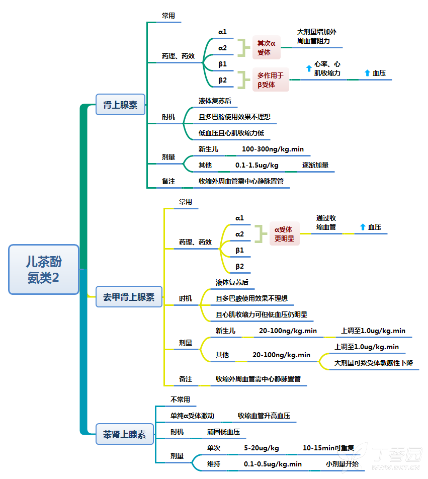 思维导图-各种休克与血管活性药物的使用