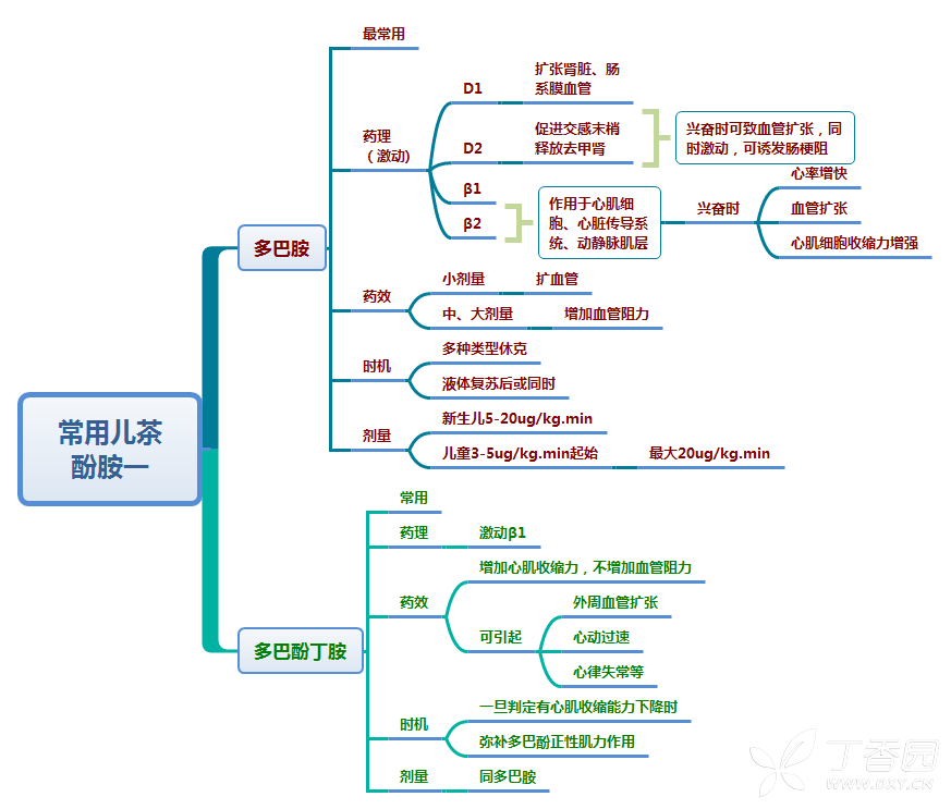 思维导图-各种休克与血管活性药物的使用