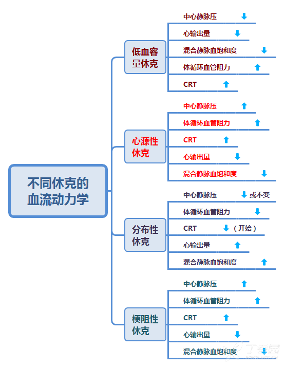 思维导图-各种休克与血管活性药物的使用