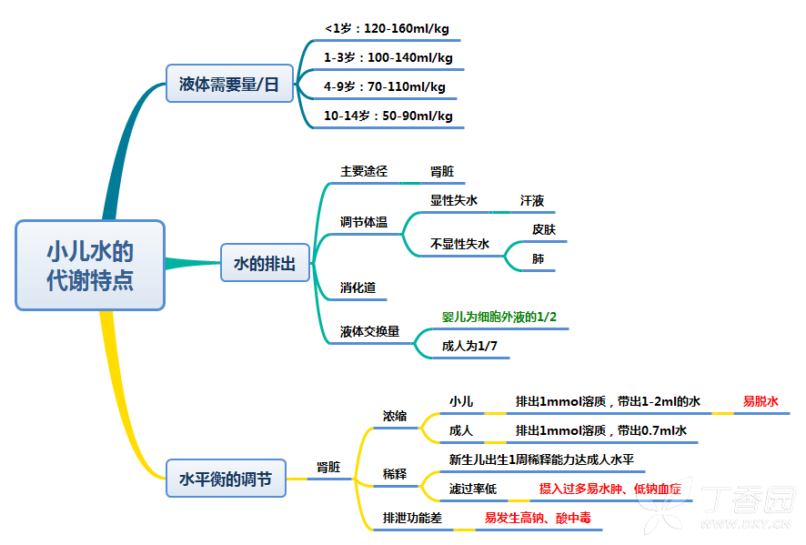 儿童补液及酸碱平衡之思维导图