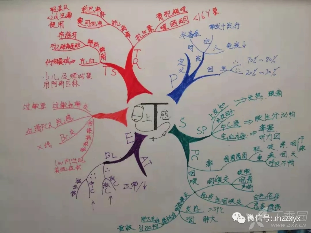 手绘医学思维导图