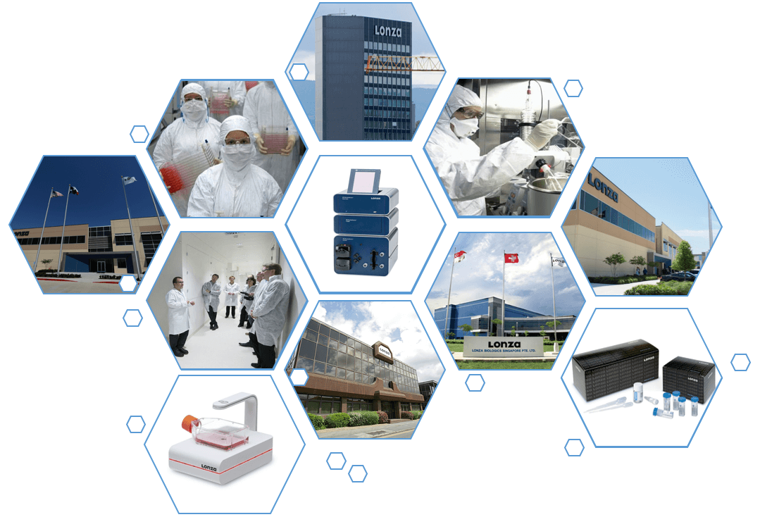 lonza人原代细胞 lonza中国一级代理商