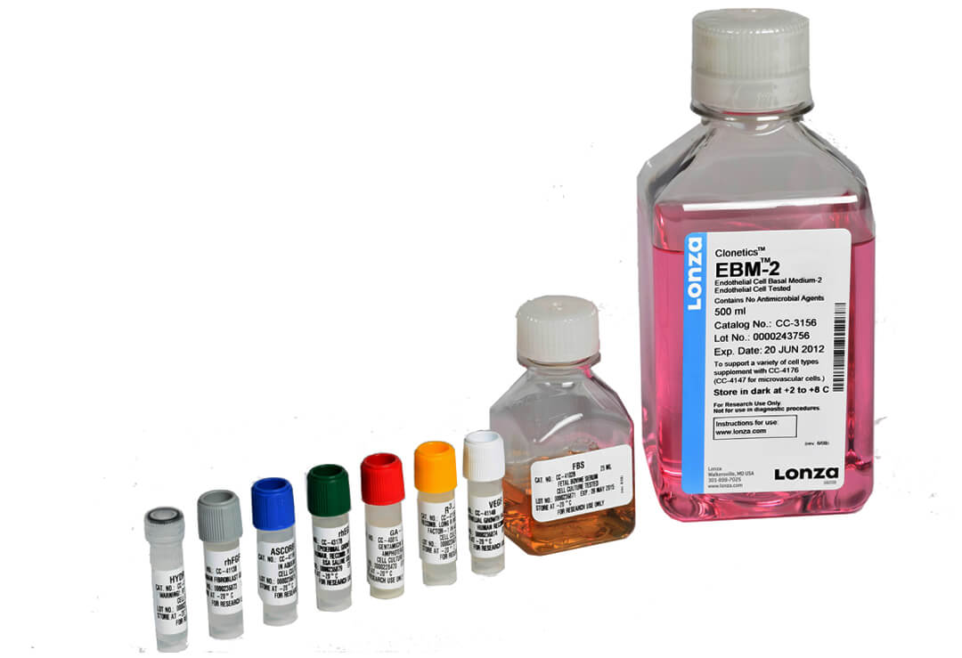 lonza人原代细胞 lonza中国一级代理商