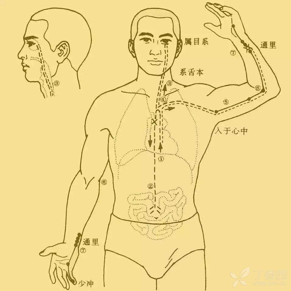 经络养生 按摩穴位缓解肠胃不适