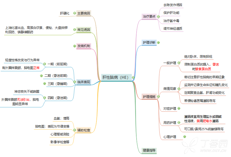 《肝性脑病》思维导图,作者@食客