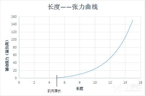 前后负荷及等长收缩 形态学与生理生化讨论版-丁香园论坛