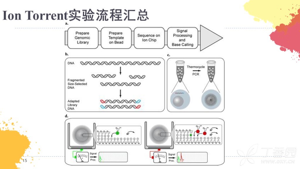 【二代半测序】ion torrent测序仪测序原理及应用