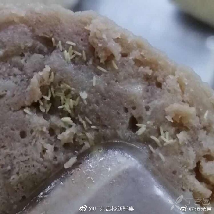 广东医大食堂被曝菜有蛆虫,官方回应:萝卜丝,究竟谁该去看眼科?