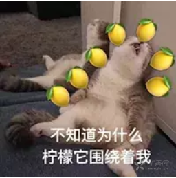 Ÿλˢ΢С,ʹ