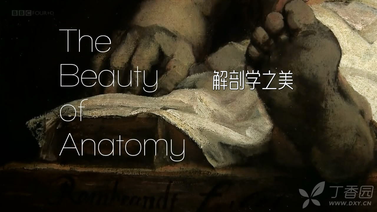 bbc纪录片 《解剖学之美》 第一集