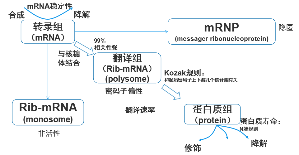 蛋白质组与转录组比较关联分析方案