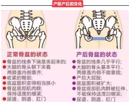 龙氏正骨手法)视频修正(骨盆修复)精讲班-段俊阿喷怡产后图片