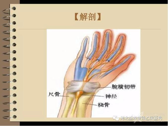 腕管综合征闭合术