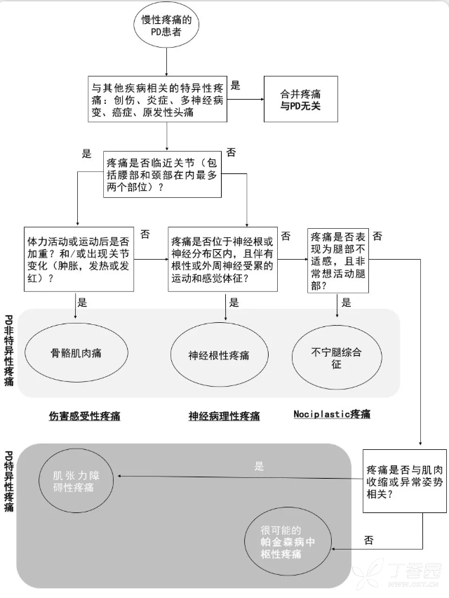 帕金森病疼痛难以识别?快看这张流程图