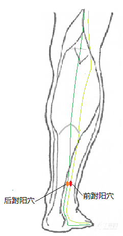 下面是两个跗阳穴