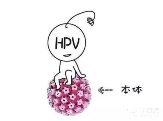 hpv的"认罪书":宫颈癌头号元凶,80%以上女性一生中会被感染