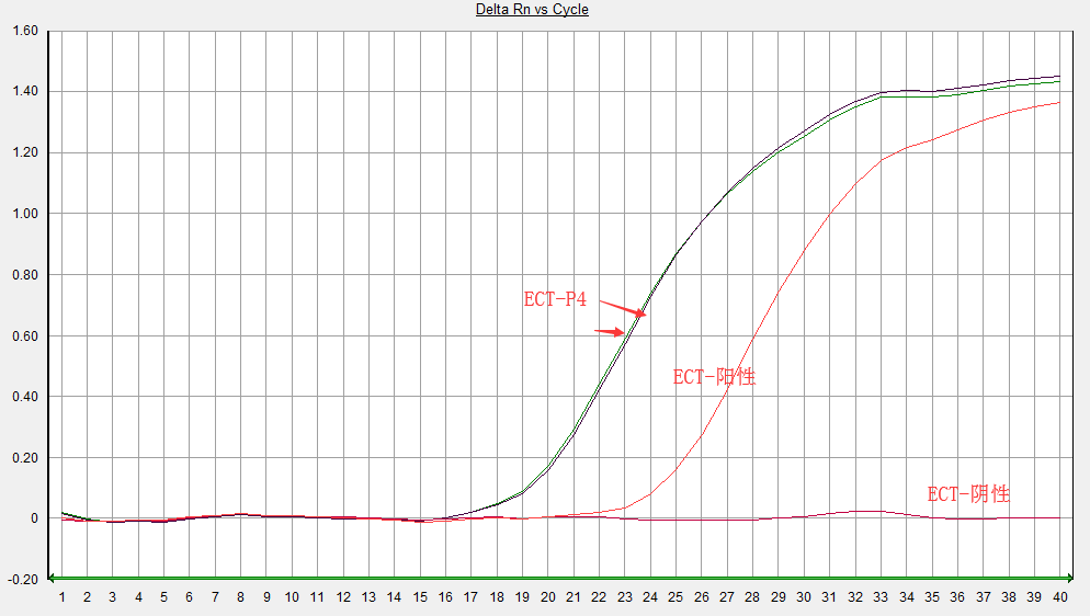 ect荧光定量pcr检测结果图片?