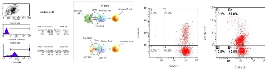 CD3单抗功能参数
