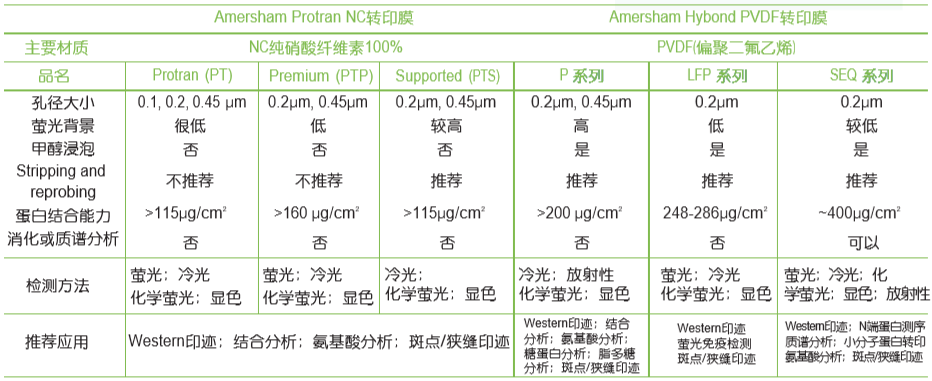 Amersham Hybond PVDF 转印膜 10600023报价 价格 Bio co Cytiva 思拓凡 生物在线