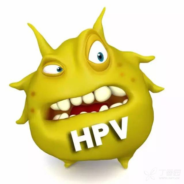 打脸,香港惊现冒牌hpv疫苗,注意高危hpv病毒感染的两个高峰期
