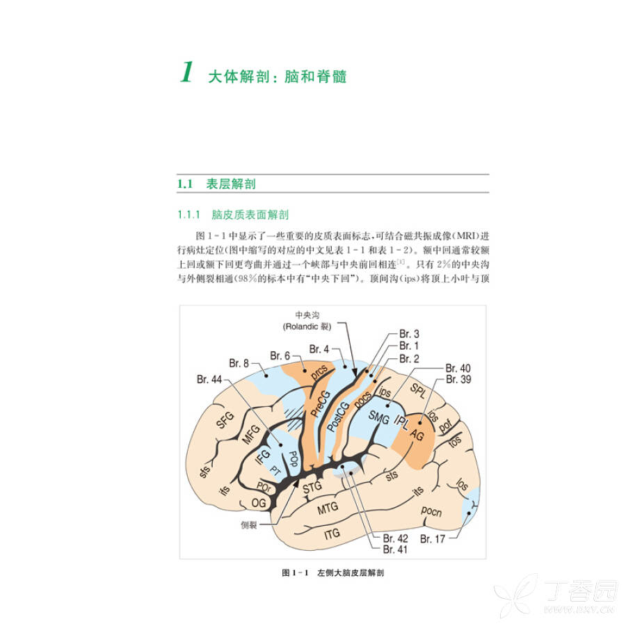 神经科学专业讨论版 丁香读书 帖子详情  part i解剖和生理学 1大体