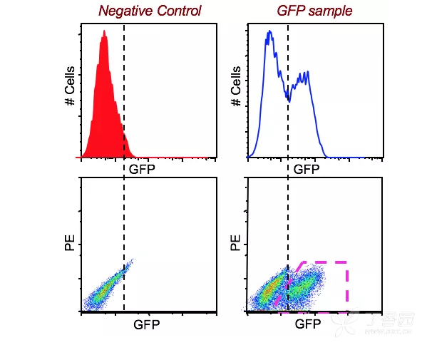 流式分析建议你用散点图分析 - 细胞技术讨论版