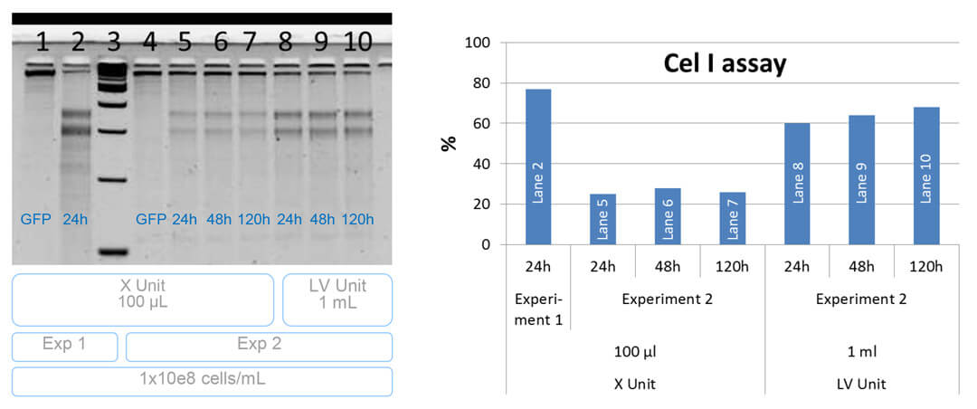 LONZA 4D-Nucleofector LV Unit 大体积细胞核转染系统 LONZA中国一级代理商北京泽平