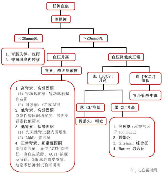 一图牢记:低钾血症诊断流程