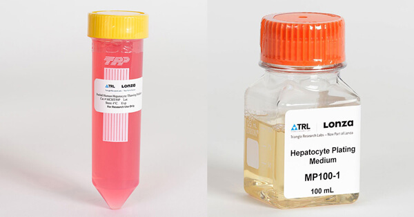 LONZA人原代肝细胞及培养基 Human Hepatocytes Medium LONZA中国一级代理商北京泽平
