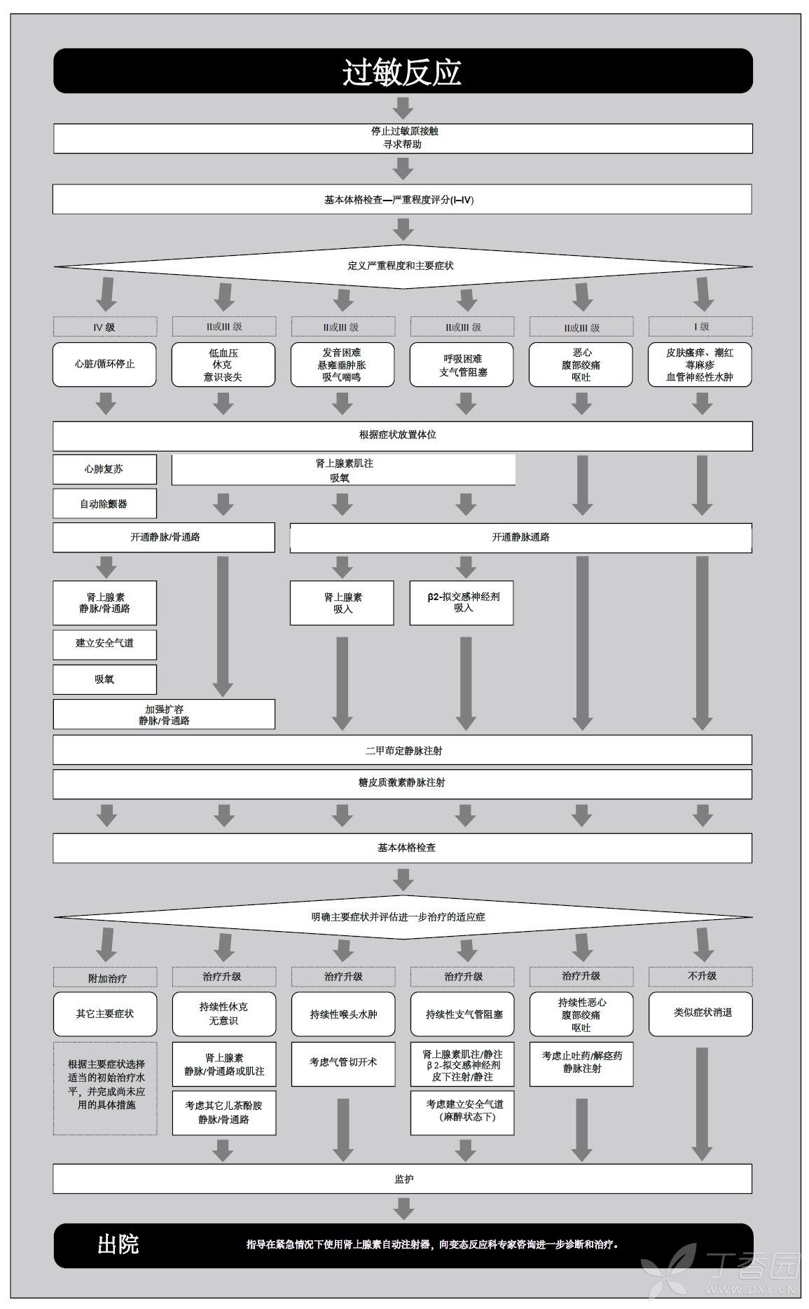 过敏反应流程图