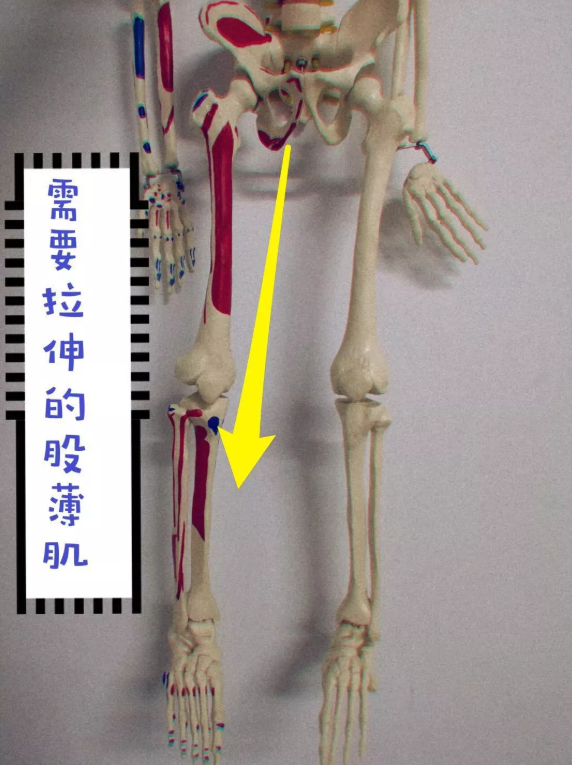 腿形难看怎么办