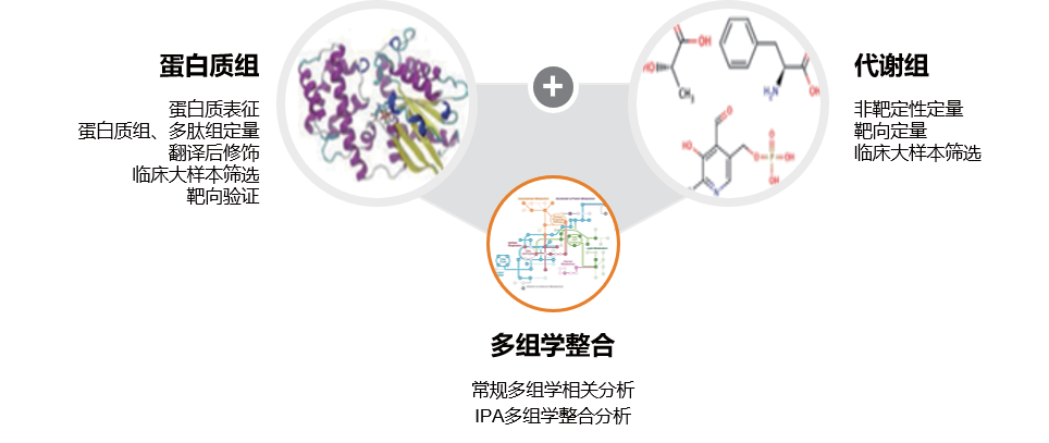 蛋白组学技术服务