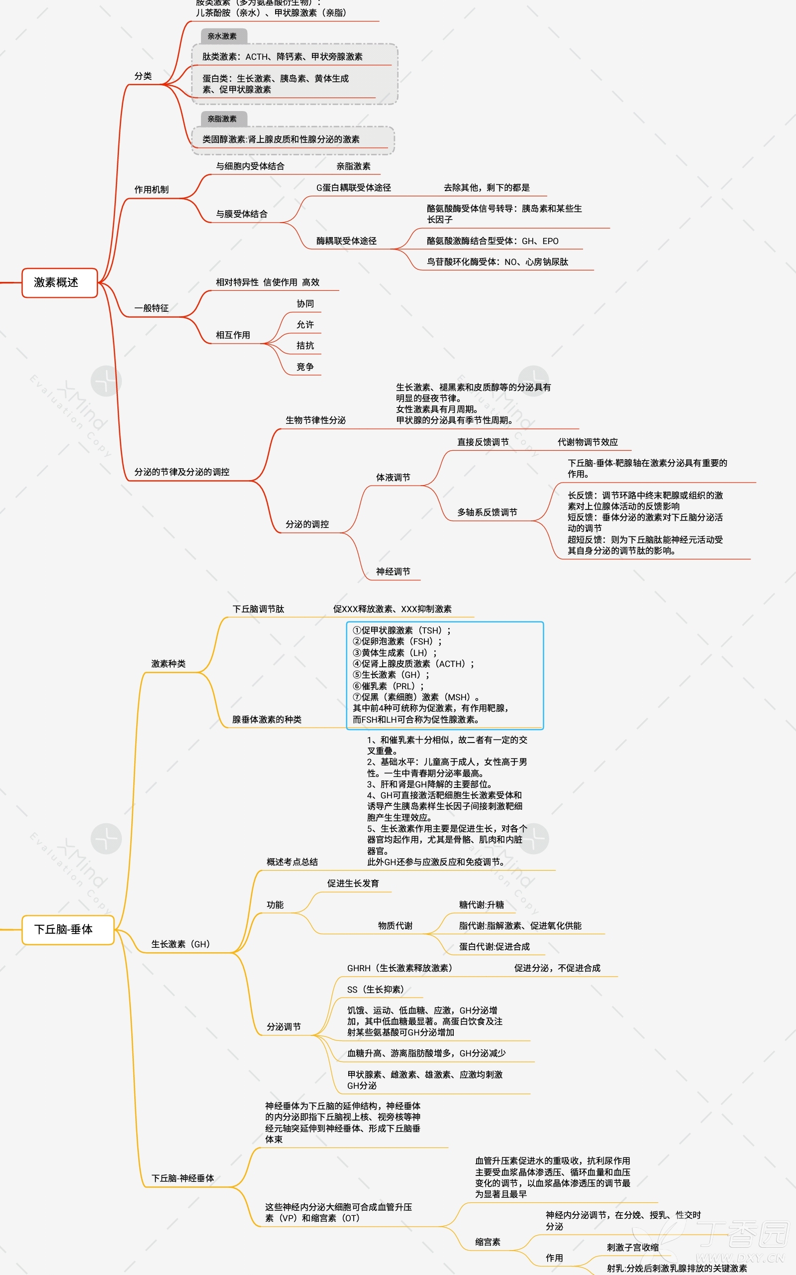 考研生理知识点总结之内分泌系统思维导图