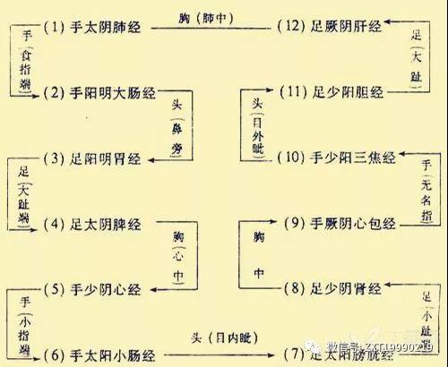 十二经络这样记忆超简单