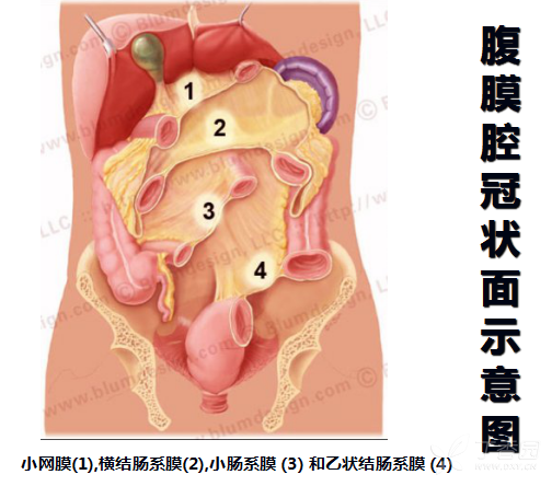 腹膜和肠系膜实性肿瘤的影像学诊断