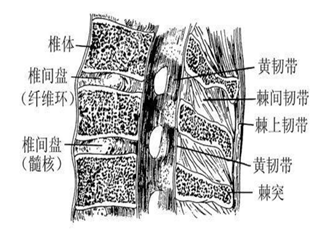 颈椎ct常见病变