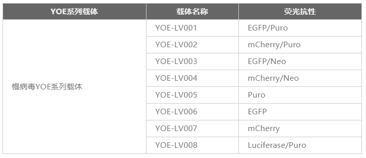 可选择源井生物YOE系列载体类型