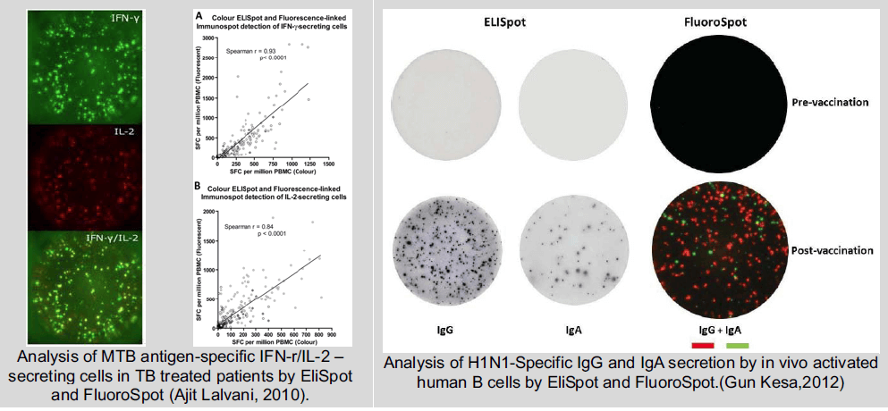 AID酶联免疫斑点分析仪 AID ELISPOT Reader AID中国一级代理商北京泽平