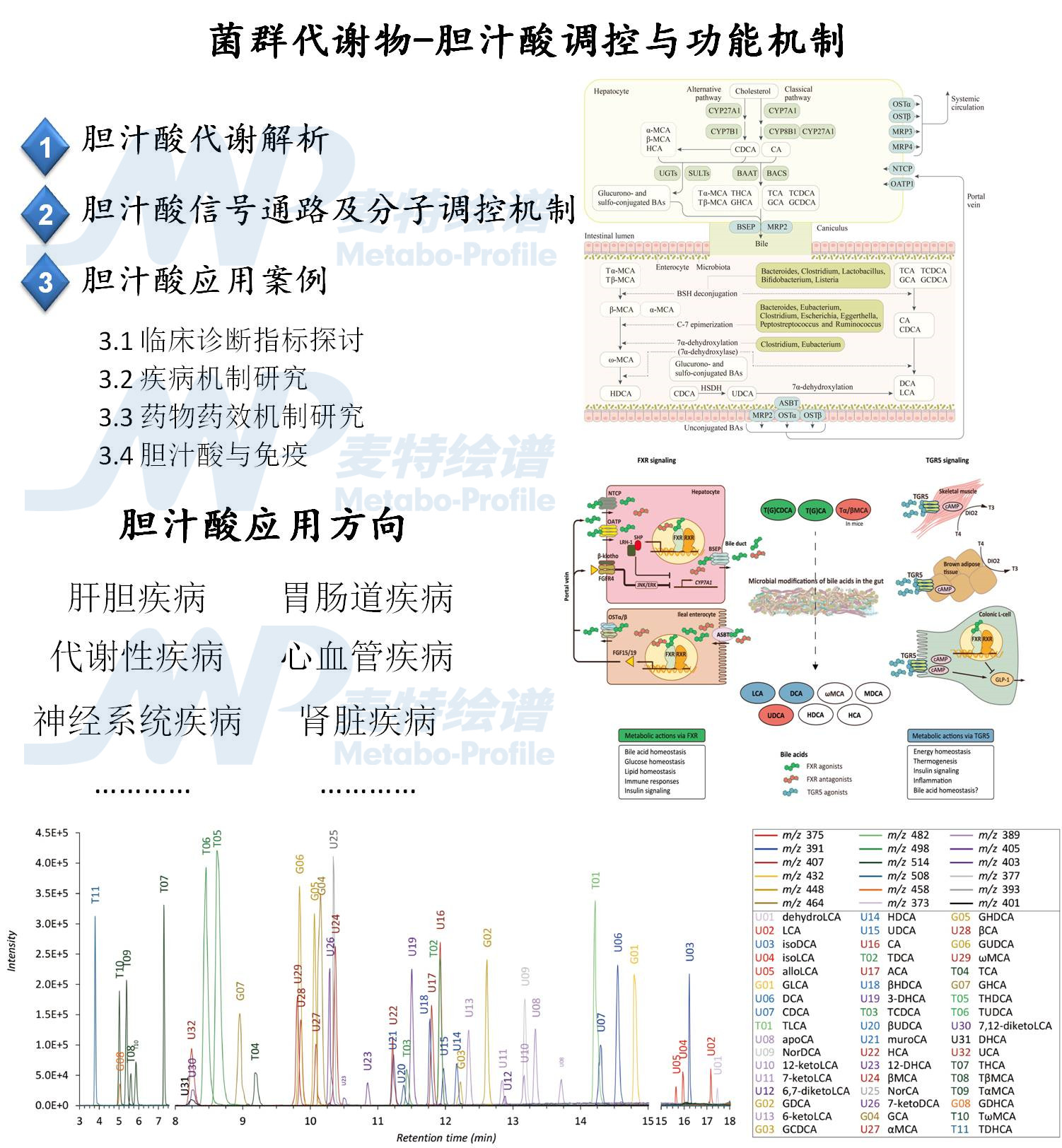 绘谱学堂 | 菌群代谢物-胆汁酸调控与功能机制