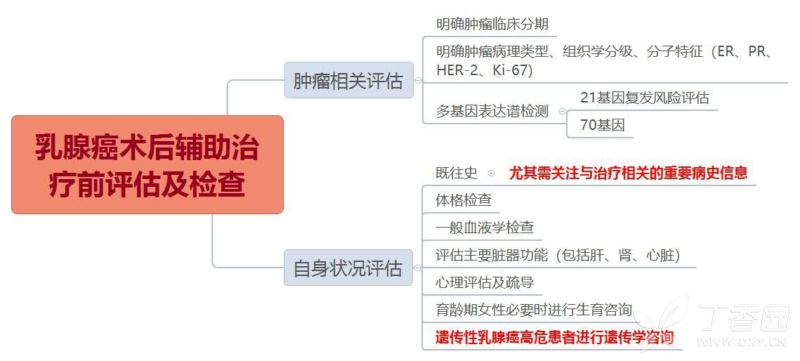 肿瘤思维导图-图解乳腺癌(下)